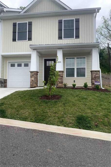 Newly Built Townhome Close To The Asheville Sites Candler Экстерьер фото