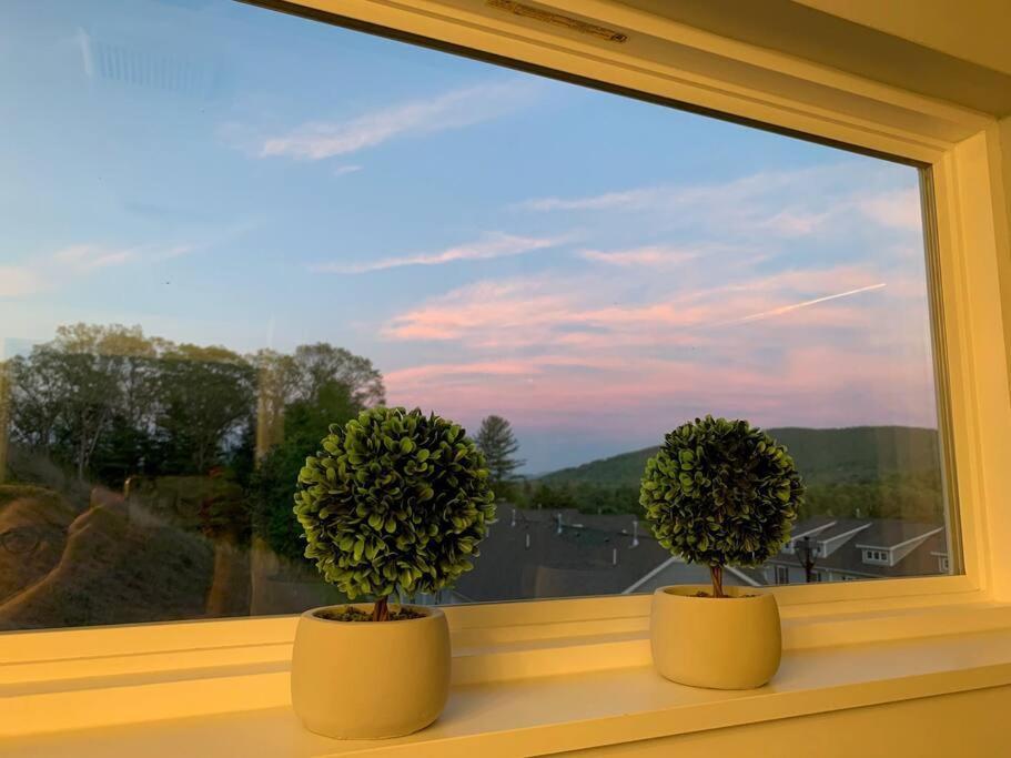 Newly Built Townhome Close To The Asheville Sites Candler Экстерьер фото